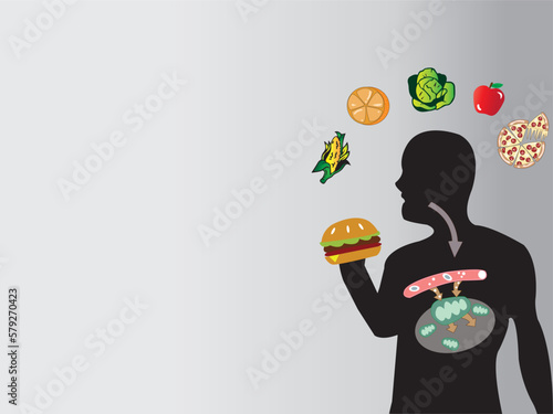 Digestive system in human and how human body use the energy from food through the metabolism. 
