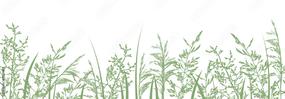 Grass border. Seamless pattern with hand drawn wild meadow grasses, silhouettes of herbs and flowers