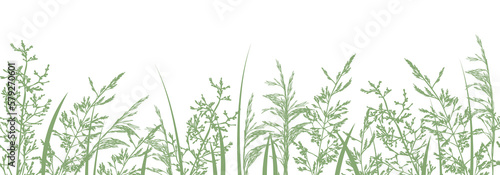 Grass border. Seamless pattern with hand drawn wild meadow grasses  silhouettes of herbs and flowers