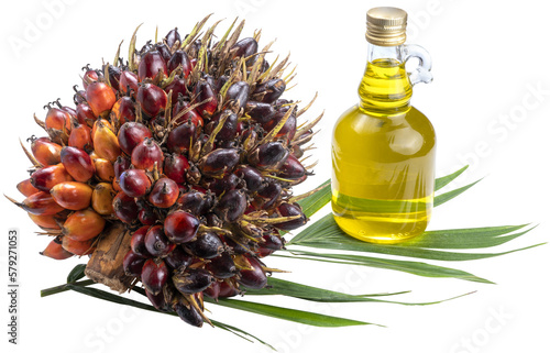 Fresh palm fruits and cooking oil in glass bottles, Palm oil on a palm leaves isolated on green Background PNG File. photo