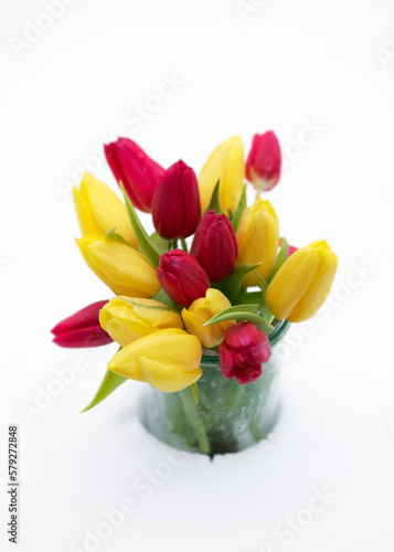 Fototapeta Naklejka Na Ścianę i Meble -  Beautiful spring bouquet of yellow and red tulip flowers in glas jar in the garden covered with snow. Selective soft focus. Copy space.