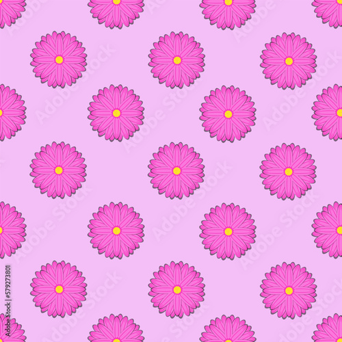 Seamless pattern with pink asters. Endless background of chrysanthemums.