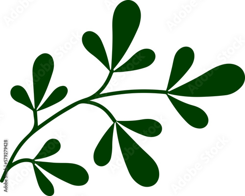 Leaf Illustration