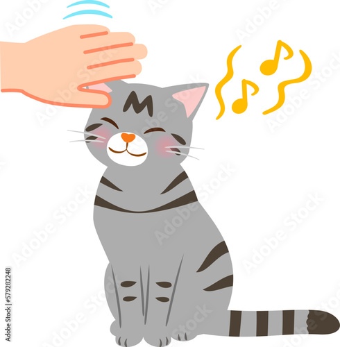 猫を撫でる手