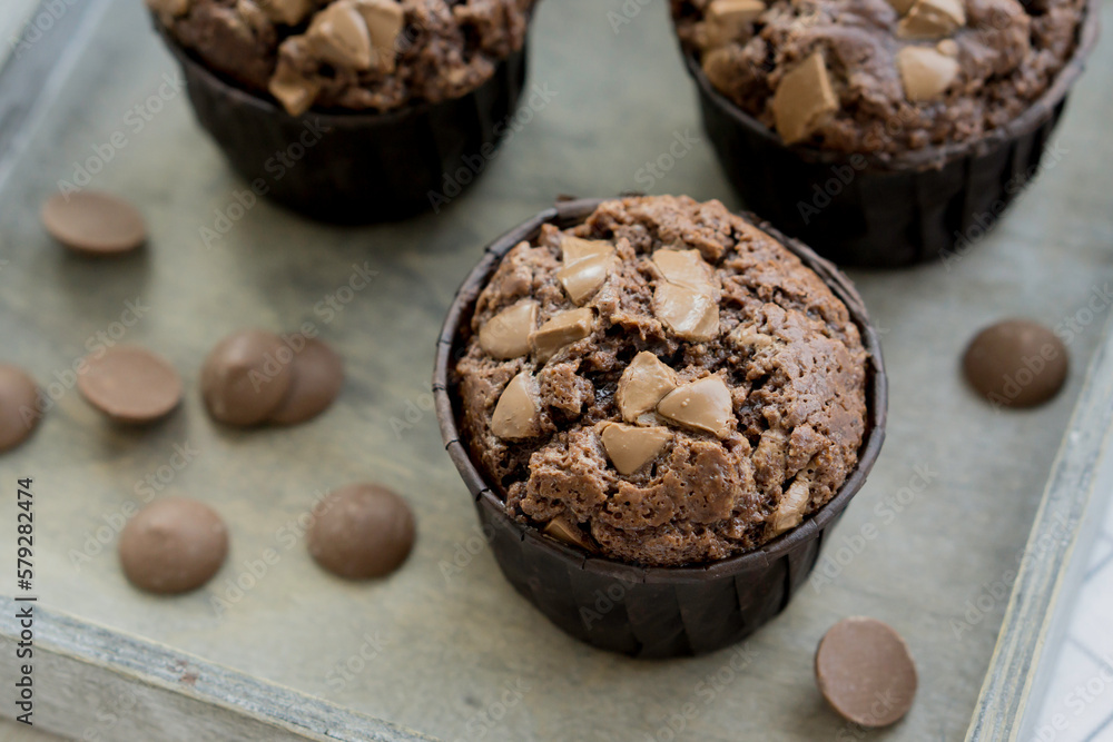 Double Chocolate muffins homemade baked close up selective focus