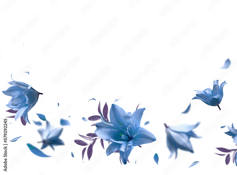 Beautiful floral overlay with flying blue flowers and petals, border,  isolated on transparent background - obrazy, fototapety, plakaty 