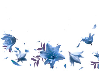 Beautiful floral overlay with flying blue flowers and petals, border,  isolated on transparent background