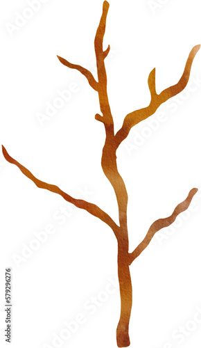 dry tree watercolor png