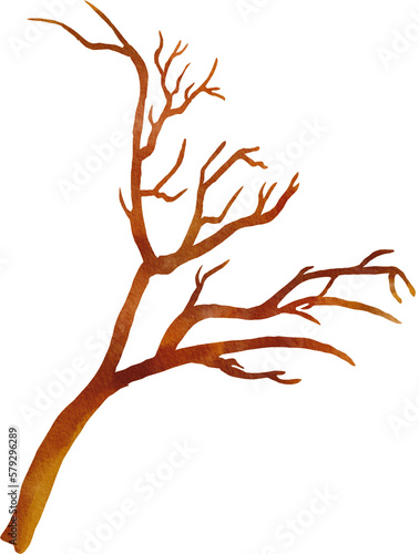 dry tree watercolor png