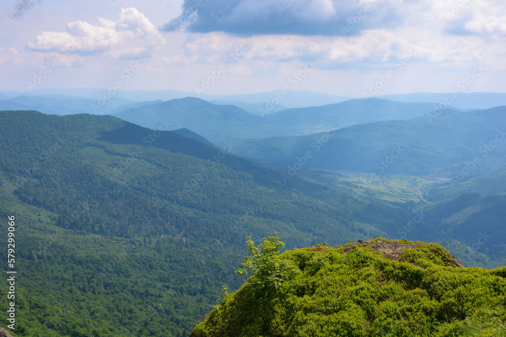 Fototapeta premium carpathian landscape in summer. view in to the distant valley. travel ukraine