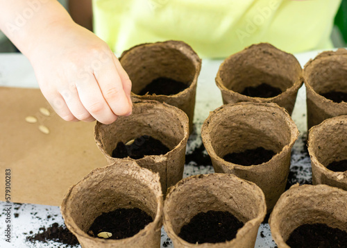 Close-up of child hand putting seeds in eco friendly pots with soil. concept of home gardening