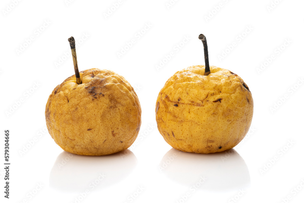 Decayed apples isolated on white background Decayed apples isolated on white background