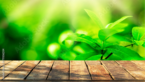 Wooden table top with natural green blurred background or various leaves  fresh bright sunlight  product empty concept.