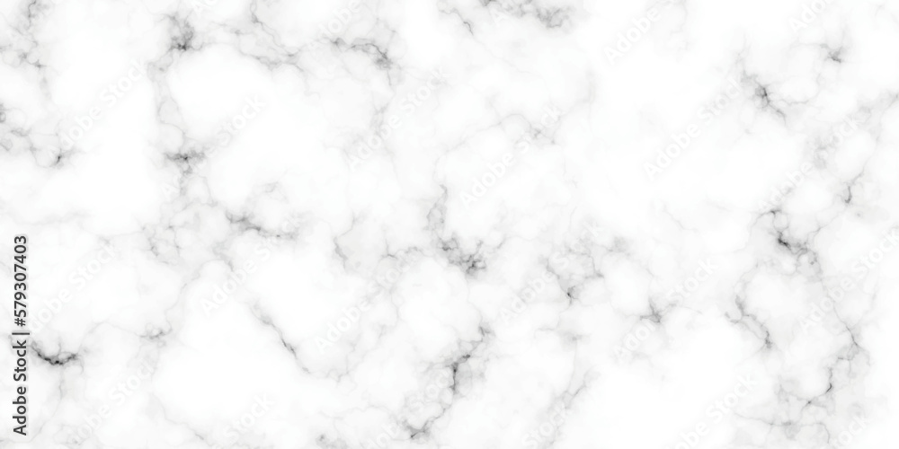 Marble white background wall surface black pattern . White and black marble texture background . Luxurious material interior or exterior design. Marble white background wall surface black pattern . White and black marble texture background . Luxurious material interior or exterior design.