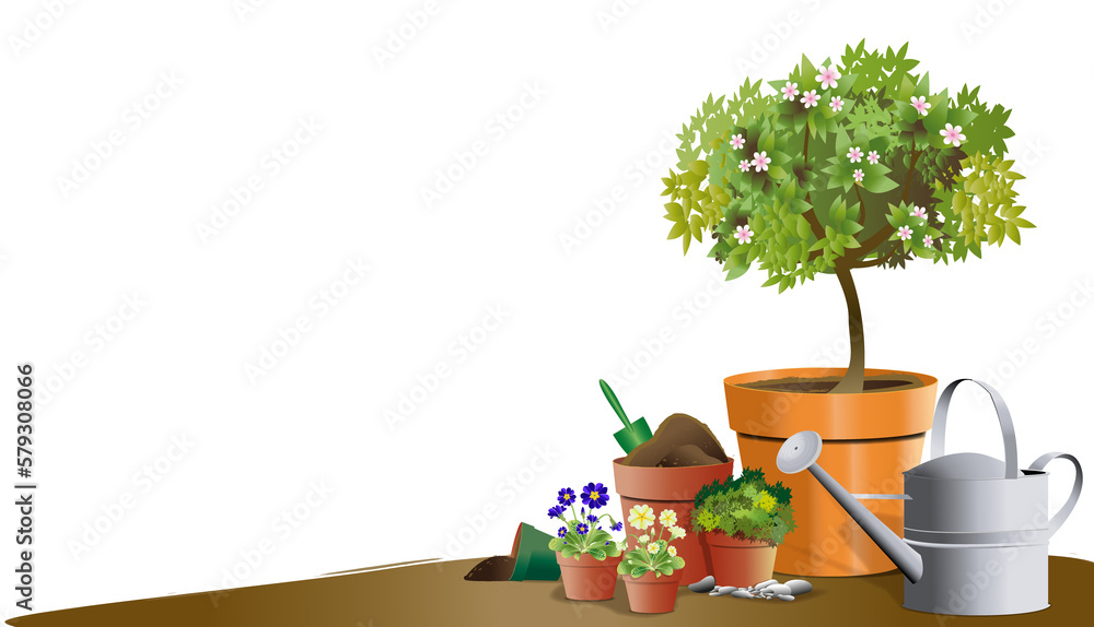 Puzzle 1000 pièces : Jardin zen