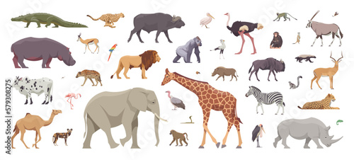 Fotografia, Obraz Flat set of africans animals