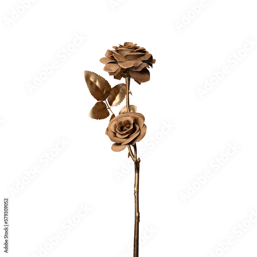 Cuadro en lienzo golden rose on transparent background, PNG