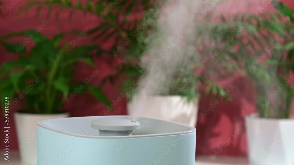The ultrasonic humidifier releases cold steam. Care and hydration of