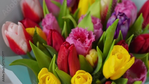 Multicolor tulips bouquet close up in vase