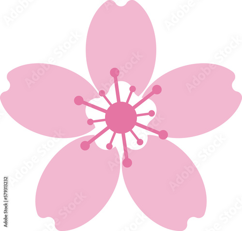 Beautiful pink Sakura Cherry Blossom illustration.