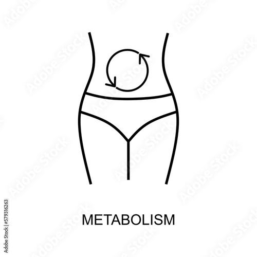 Metabolism line icon. Digestion process outline icon isolated on white background. Vector illustration