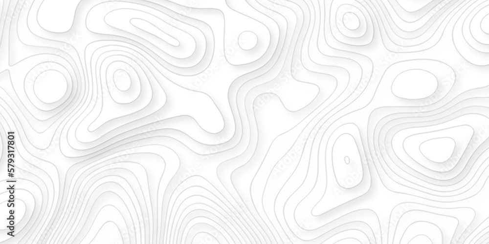 Abstract pattern with lines . Abstract Vector geographic contour map and topographic contours map background. Abstract white pattern topography vector background. Topographic line map background.