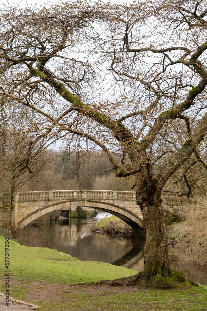 Naklejka premium Bridge in Pollok Country Park, Glasgow, Scotland