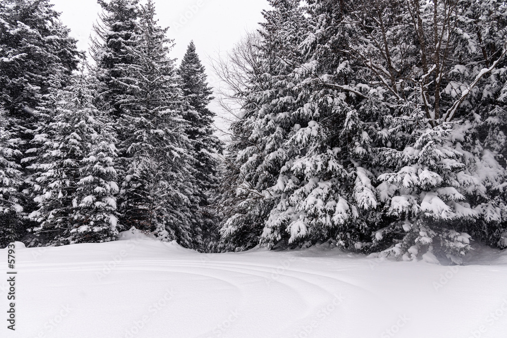 Obraz premium A snowy day in a mountain village by the river