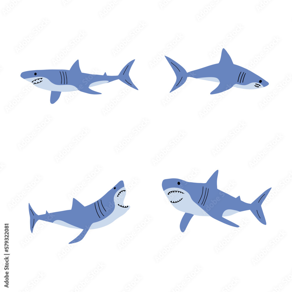 Obraz premium Shark. Sea animal. Marine animal in Scandinavian style.