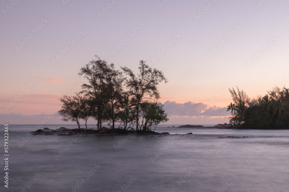 Costa volcánica de la isla grande de Hawaii