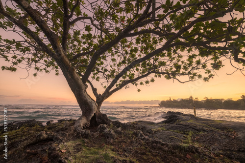 Costa volcánica de la isla grande de Hawaii