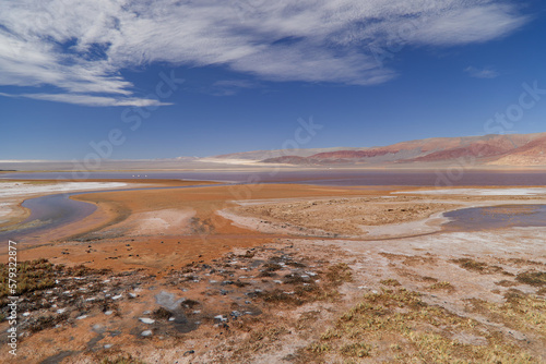 The Carachi Pampa lagoon  biosphere reserve  Argentina