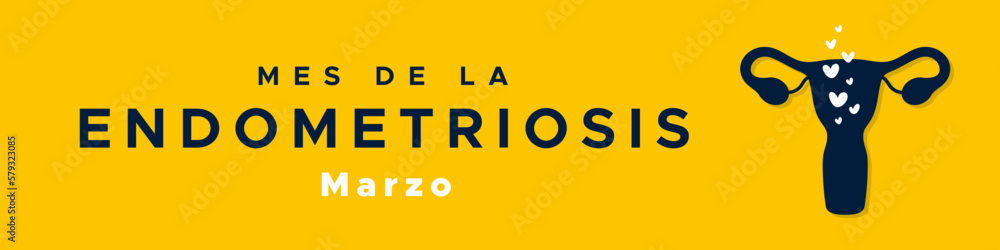 Endometriosis Awareness Month in Spanish: Mes de la Endometriosis. Marzo. Female reproductive system silhouette. Horizontal banner. Vector illustration, flat design