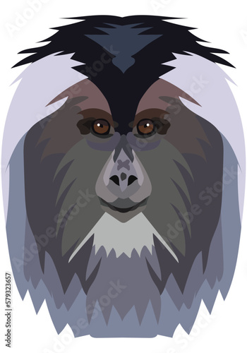 Lion-tailed macaque. The face of the monkey is depicted in vector style. A vivid image of a primate. Logo, illustration on a white background. photo