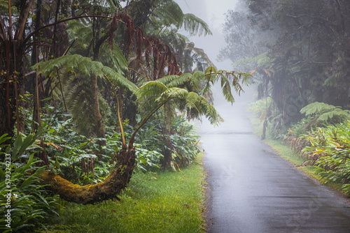 Entorno natural y vegetación de las islas de Hawaii, 