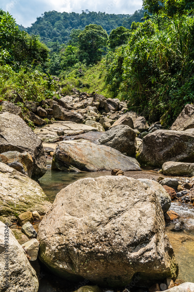 a stream in the mountains