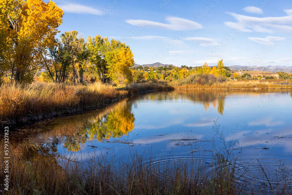 Golden autumn foliage is reflecting in the calm water. Beautiful autumn river landscape. Location is Colorado River, Colorado Golden autumn foliage is reflecting in the calm water. Beautiful autumn river landscape. Location is Colorado River, Colorado