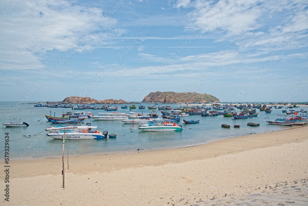 view of the beach with boats