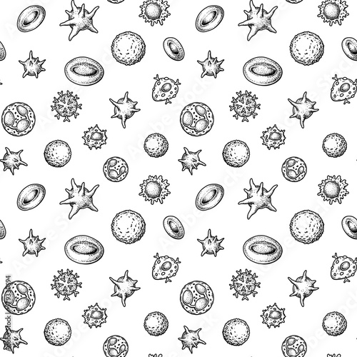 Blood cells seamless pattern. Hand drawn erythrocytes, leukocytes and platelet. Scientific biology illustration in sketch style