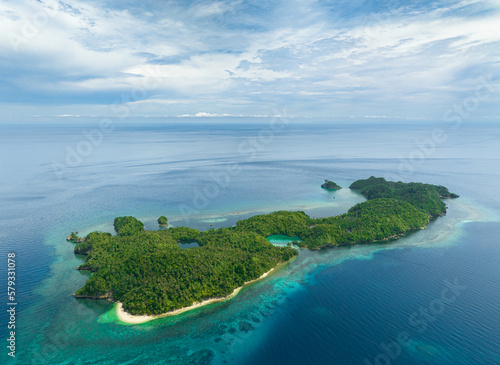 Tropical island in the blue sea with sandy beach. Danjugan islands, Philippines.