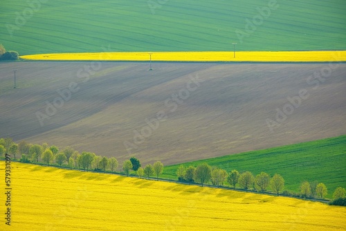 Agricultural landscape, fields of yellow colza and green grain under moody sunlight aerial view. Soil cultivation process. Farm life. Countryside landscape.
