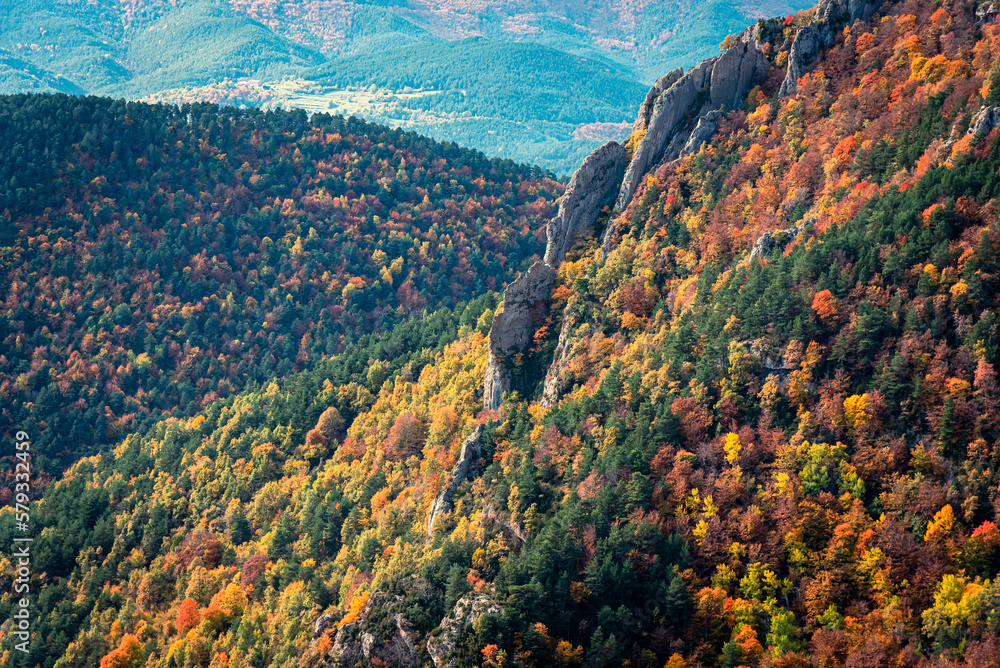 Autumn colors of the mountain forest.