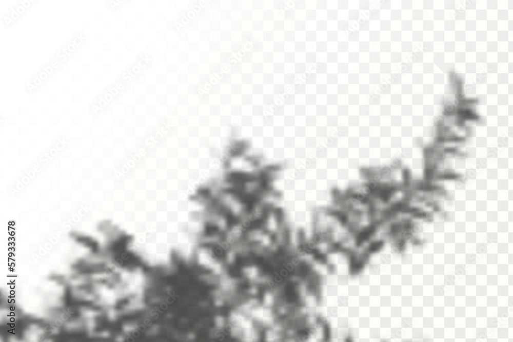 Realistic shadow tropical leaves and branches on transparent checkered ...