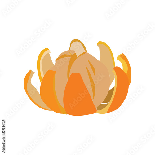 A beautiful mandarin vector art work.