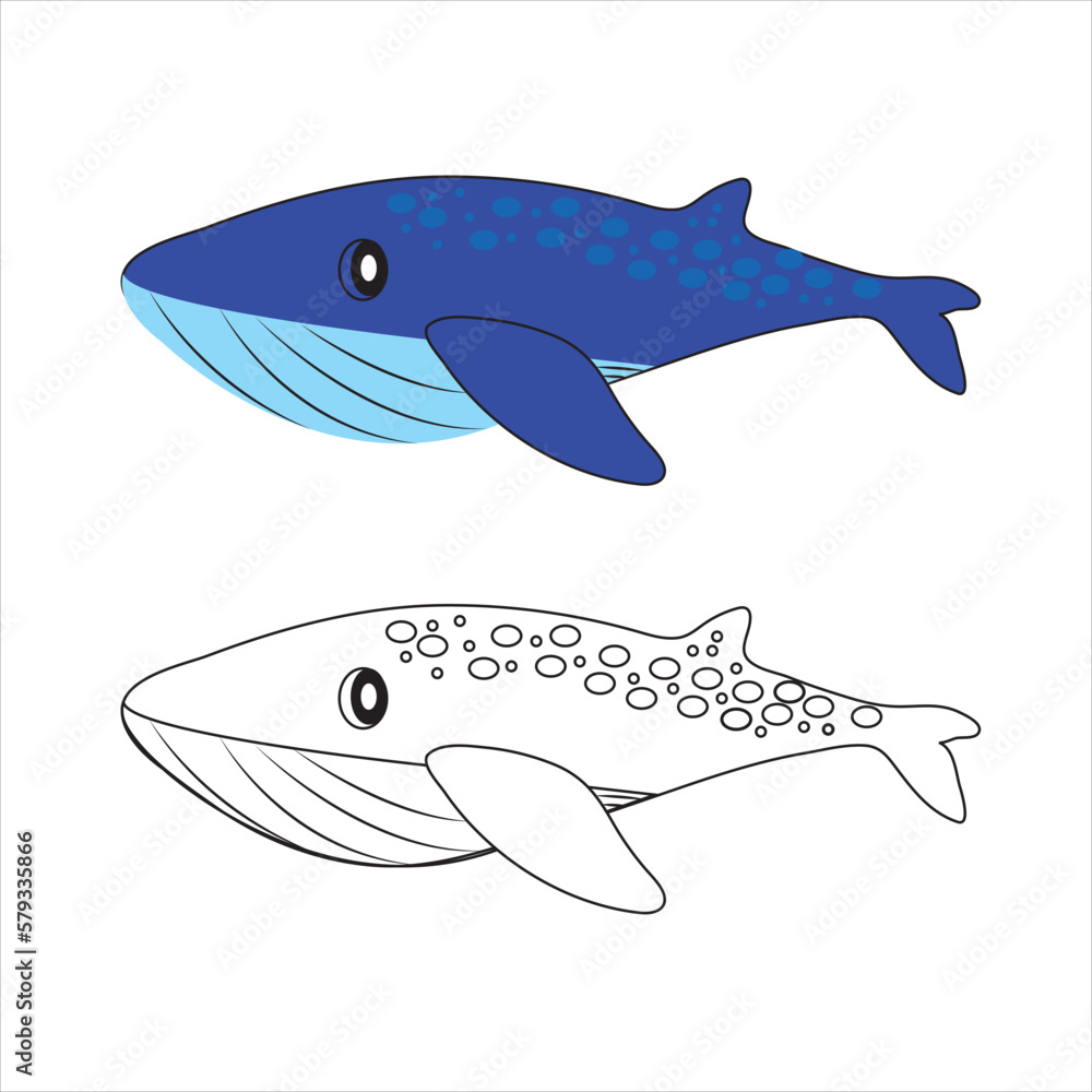 Obraz premium Set of marine mammals blue whales, sharks, sperm whales, dolphins, beluga whales, narwhal killer whales. Cartoon vector graphics.