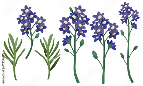 Fototapeta Naklejka Na Ścianę i Meble -  Set of purple violet flowers and green leaves elements. Botanical collection in cartoon style  isolated on transparent background. Wedding Invitation, save the date, thank you, or greeting card.