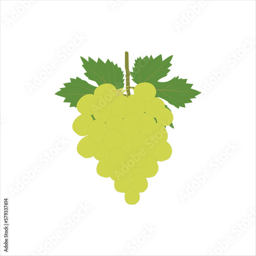 A nice bunch of grapes vector art work.