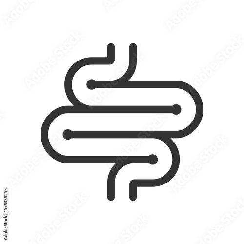Intestine human organ icon. Intestine graphic sign isolated on white background. Digestive system symbol. Vector illustration