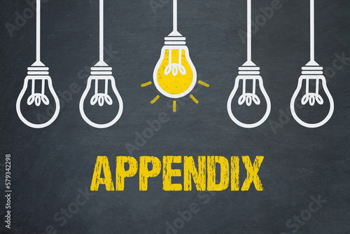 Appendix	 photo