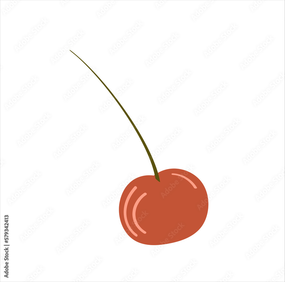 Vector illustration of cherry berries isolated on a white background. Vector illustration of cherry berries isolated on a white background.